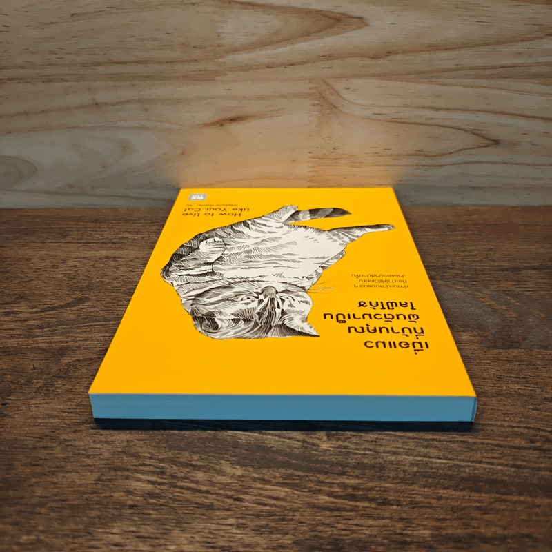 เมื่อแมวที่บ้านคุณผันตัวมาเป็นไลฟ์โค้ช - Stephane Garnier