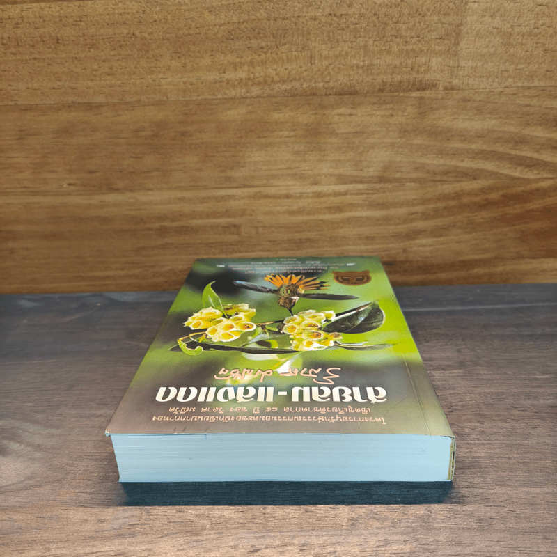 สายลม-แสงแดด - วิลาศ มณีวัต