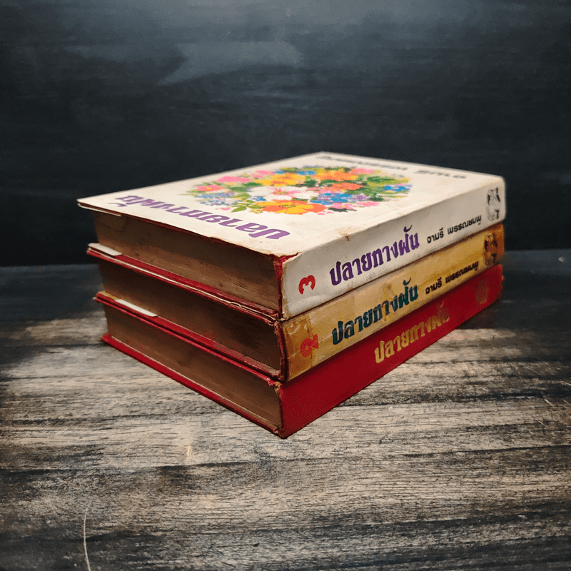 ปลายทางฝัน 3 เล่มจบ (ปกแข็ง) - จามรี พรรณชมพู