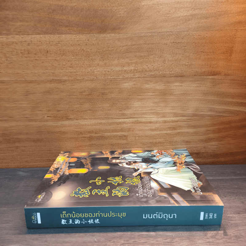 เด็กน้อยของท่านประมุข - มนต์มิถุนา