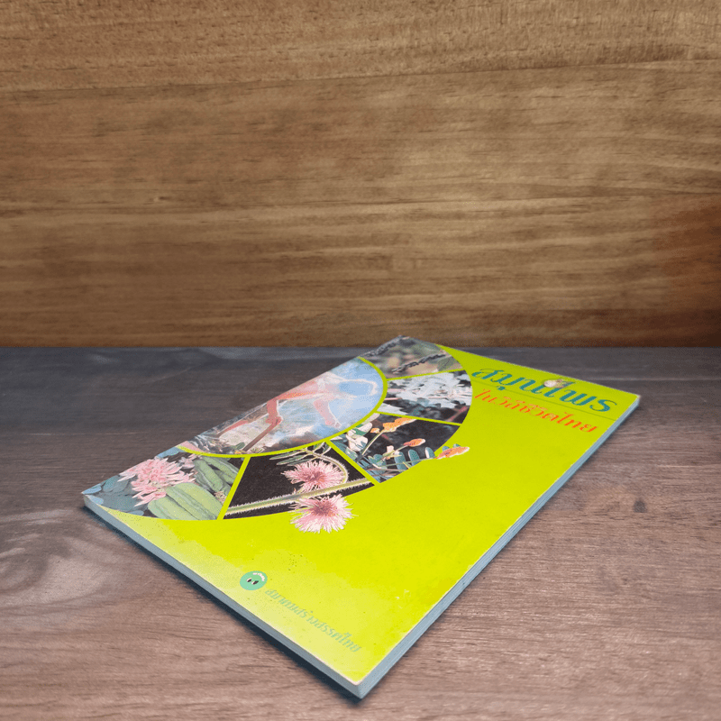 สมุนไพรในวิถีชีวิตไทย - สมาคมสร้างสรรค์ไทย