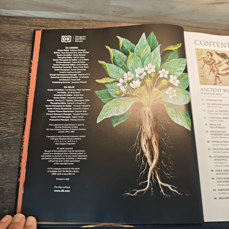 A History of Magic, Witchcraft and the Occult - Suzannah, Lipscomb