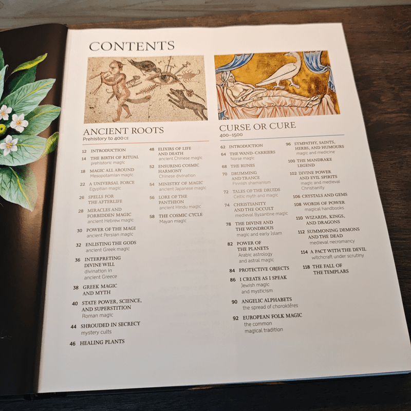 A History of Magic, Witchcraft and the Occult - Suzannah, Lipscomb