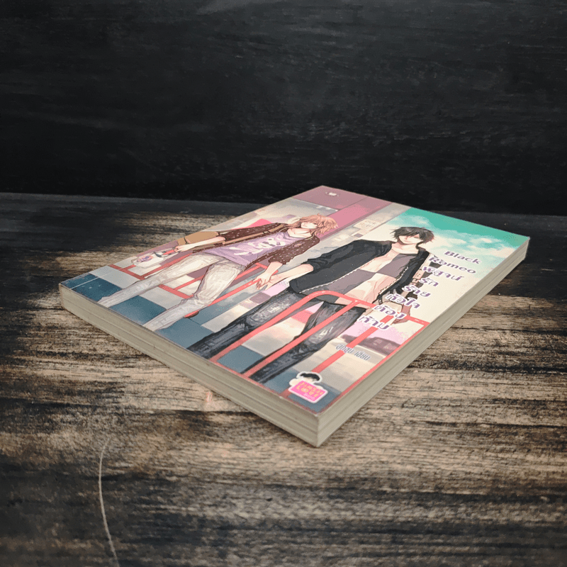 Black Romeo พิสูจน์รักร้ายหัวใจต้องห้าม - ลูกชุบ