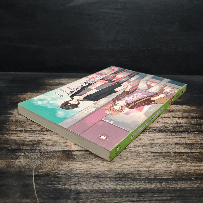 Black Romeo พิสูจน์รักร้ายหัวใจต้องห้าม - ลูกชุบ