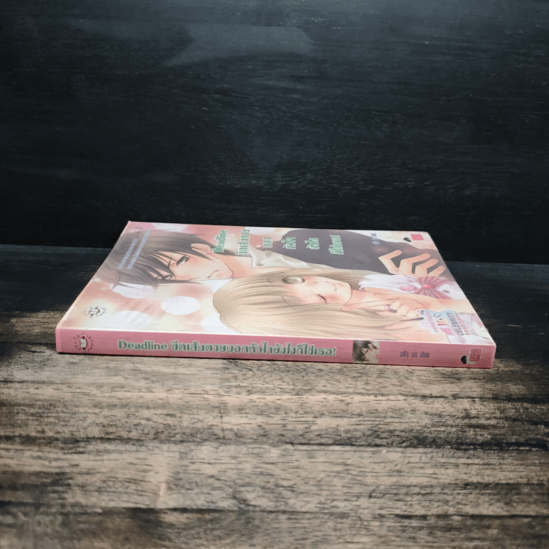 Deadline ขีดเส้นตายบอกหัวใจยังไงก็ใช่เธอ - silly sis