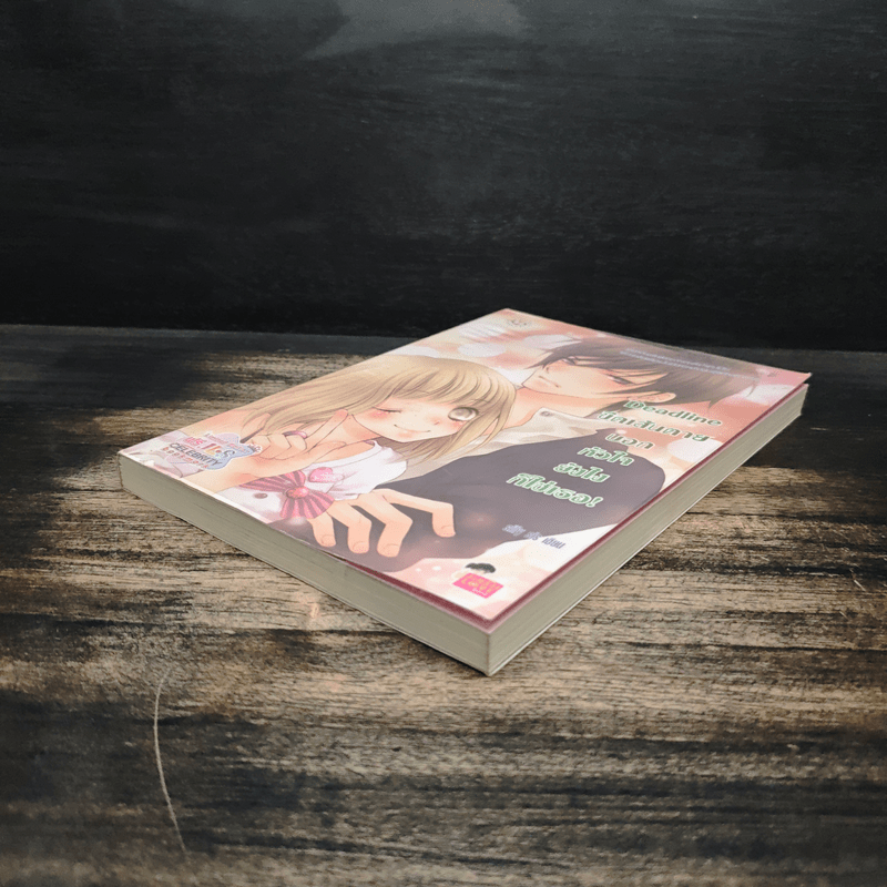 Deadline ขีดเส้นตายบอกหัวใจยังไงก็ใช่เธอ - silly sis