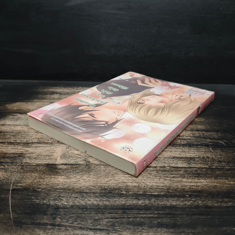 Deadline ขีดเส้นตายบอกหัวใจยังไงก็ใช่เธอ - silly sis