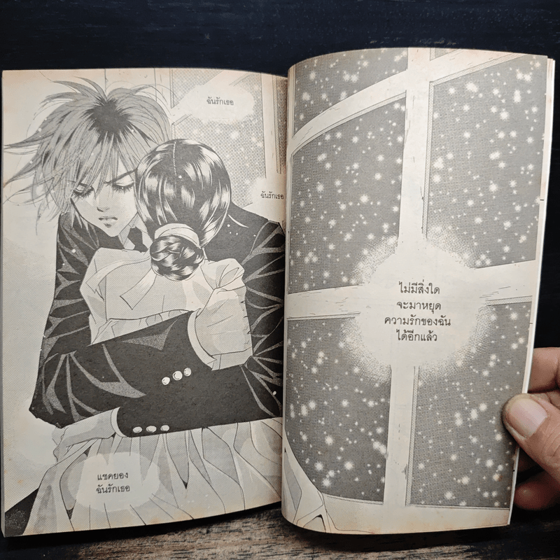 การ์ตูน เจ้าหญิงจอมจุ้นกับรักวุ่นๆในวัง เล่ม 12