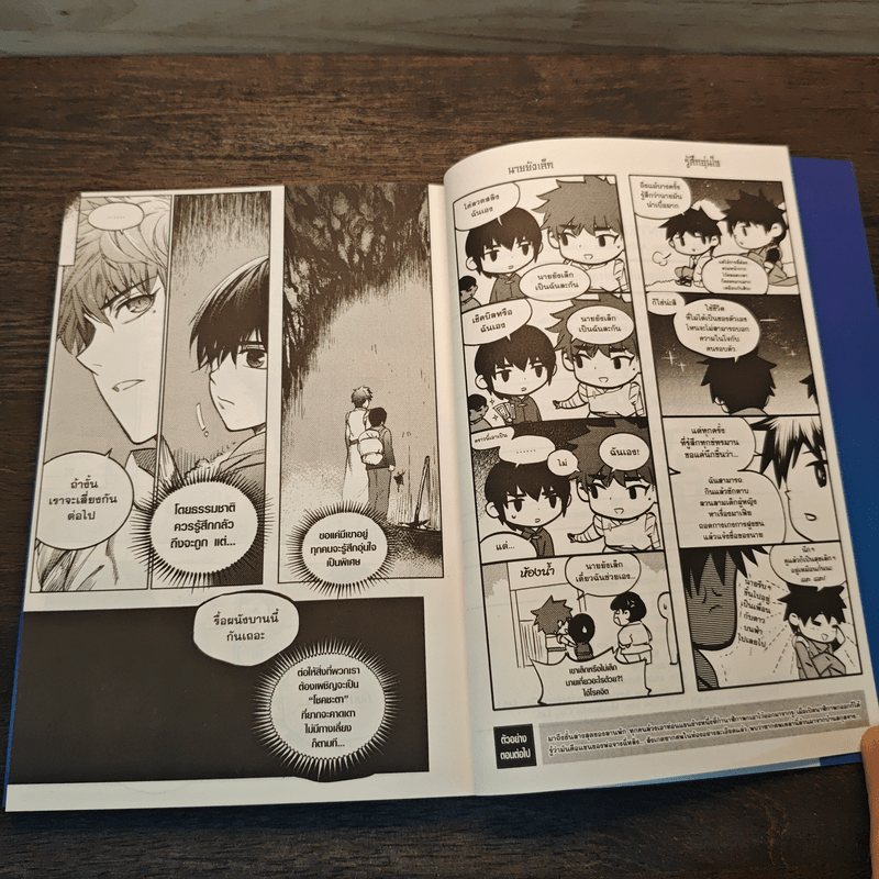 บันทึกจอมโจรแห่งสุสาน ภาคทิเบต เล่ม 5