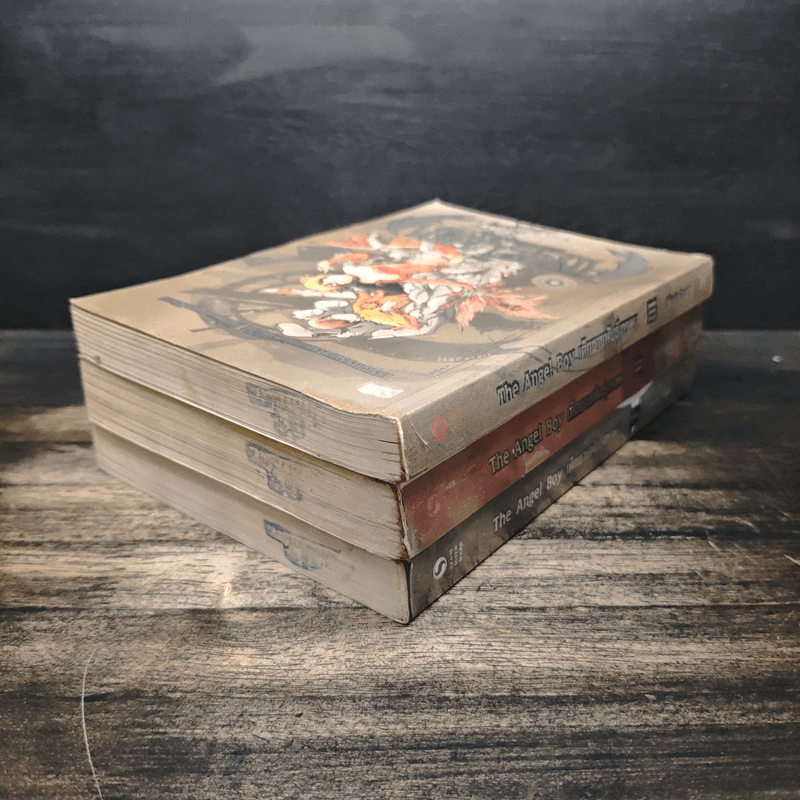 The Angel Boy เด็กชายพันธุ์เทวา 3 เล่มจบ - Black Back