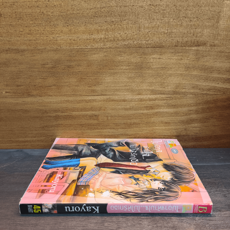 ไม่อาจห้ามใจ...ไม่ให้รักเธอ - Kayoru