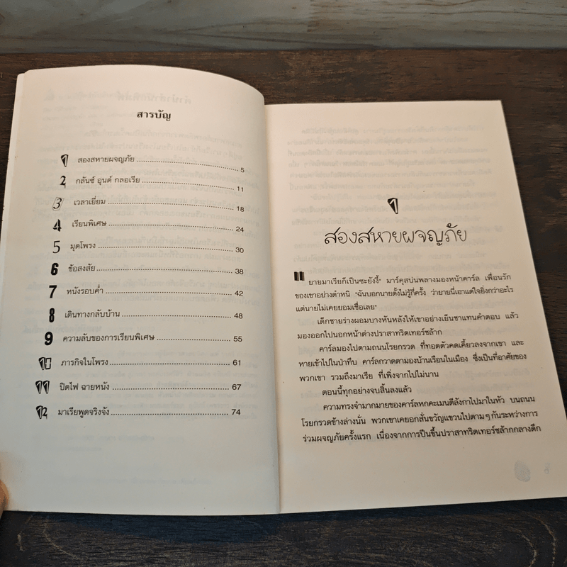 สามสหายผจญภัย เล่ม 6 ตอน แฝดมหาภัย - Jorg Hagemann