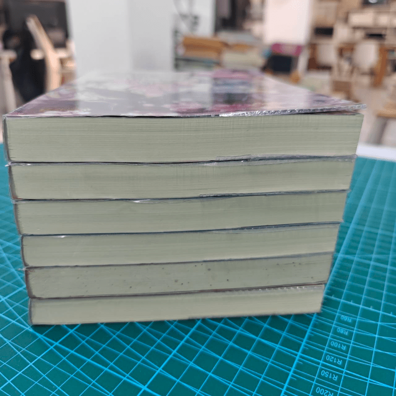 ลำนำรักจันทราเคียงวารี 6 เล่มจบ - Zhang Lian