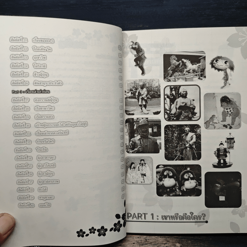 สัมผัสญี่ปุ่น - รังสินี ไชยคุณ