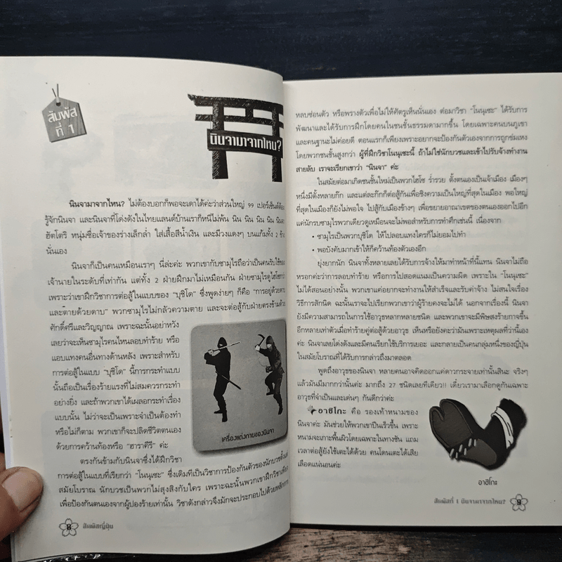 สัมผัสญี่ปุ่น - รังสินี ไชยคุณ