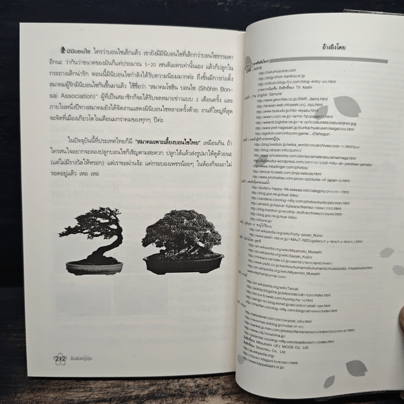 สัมผัสญี่ปุ่น - รังสินี ไชยคุณ