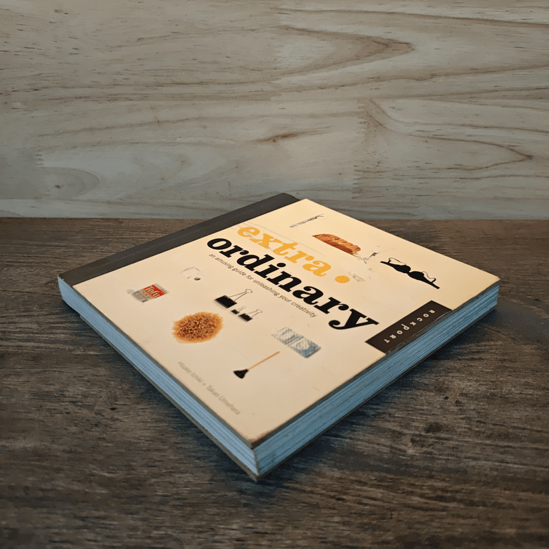 Extra Ordinary: Creative Ideas for Everyday Objects - Hisako Ichiki, Takao Umehara