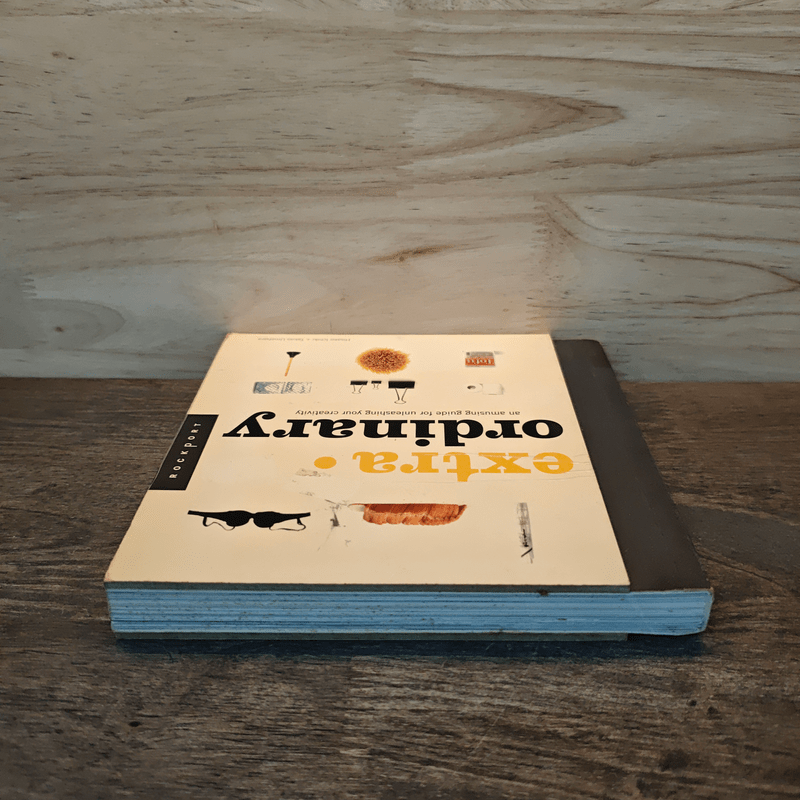 Extra Ordinary: Creative Ideas for Everyday Objects - Hisako Ichiki, Takao Umehara