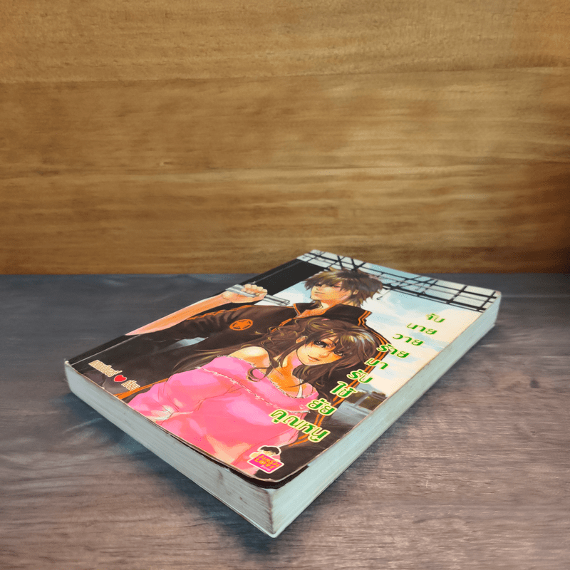 จับนายวายร้ายมารับใช้ยัยคุณหนู - แสตมป์เบอรี่