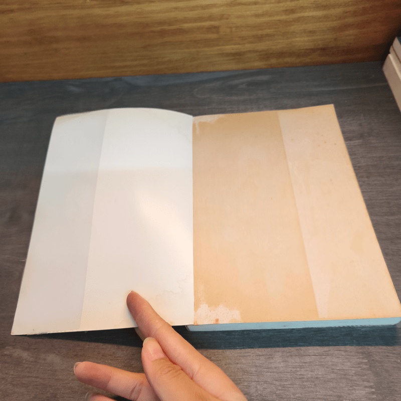 รักทั้งทีต้องทุ่มทั้งใจ - ลูกชุบ