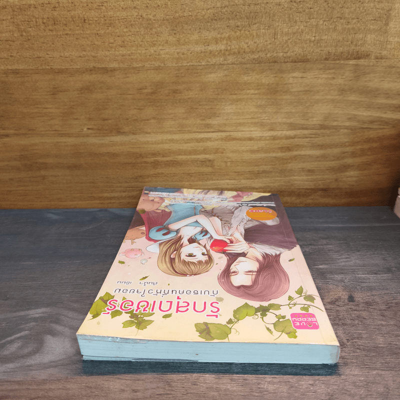 รักสุดเซอร์ กับเธอคนที่หัวใจยอม - ต้นน้ำ