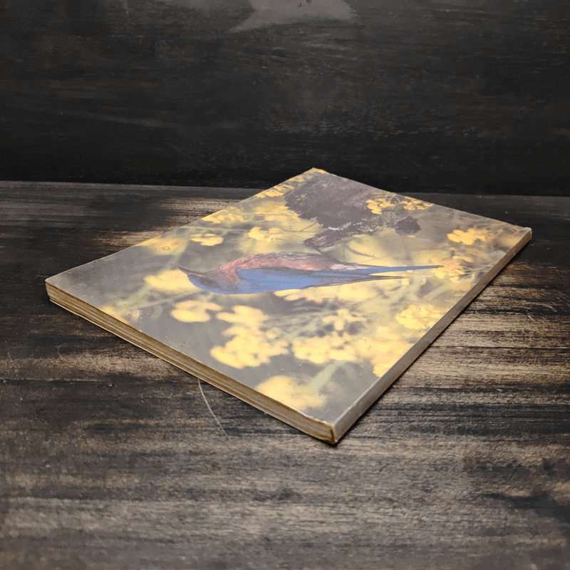 อนุสรณ์ในงานพระราชพิธีพระราชทานเพลิงศพ คุณชัยรัตน์ ภิญญาวัธน์