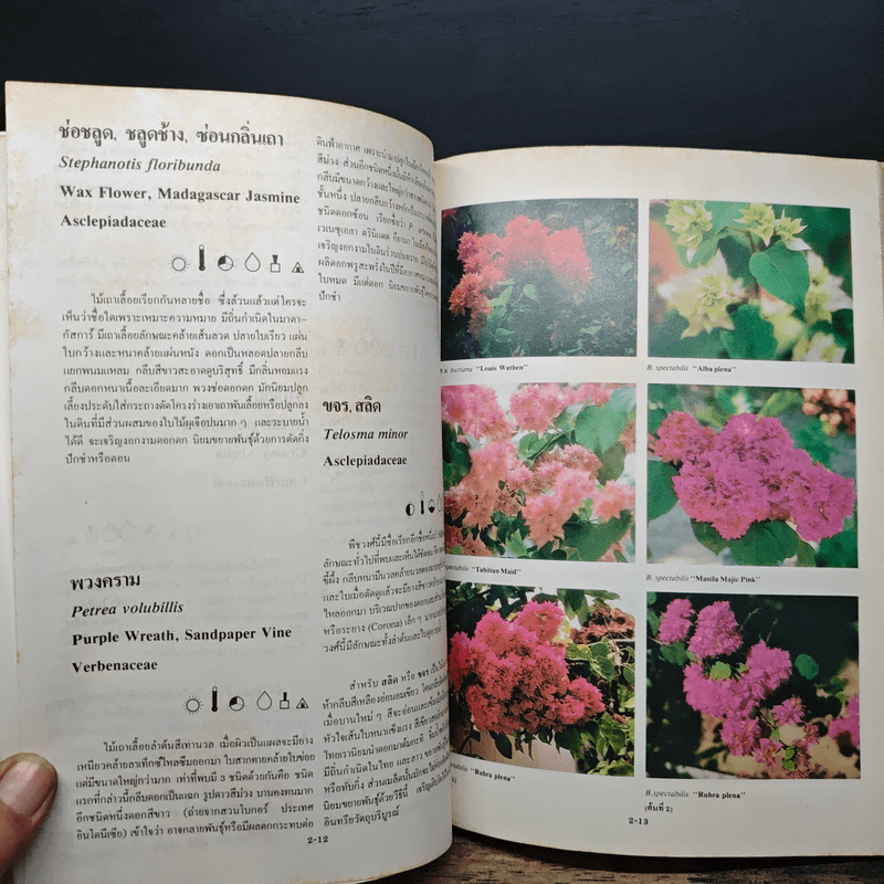 อนุสรณ์ในงานพระราชพิธีพระราชทานเพลิงศพ คุณชัยรัตน์ ภิญญาวัธน์