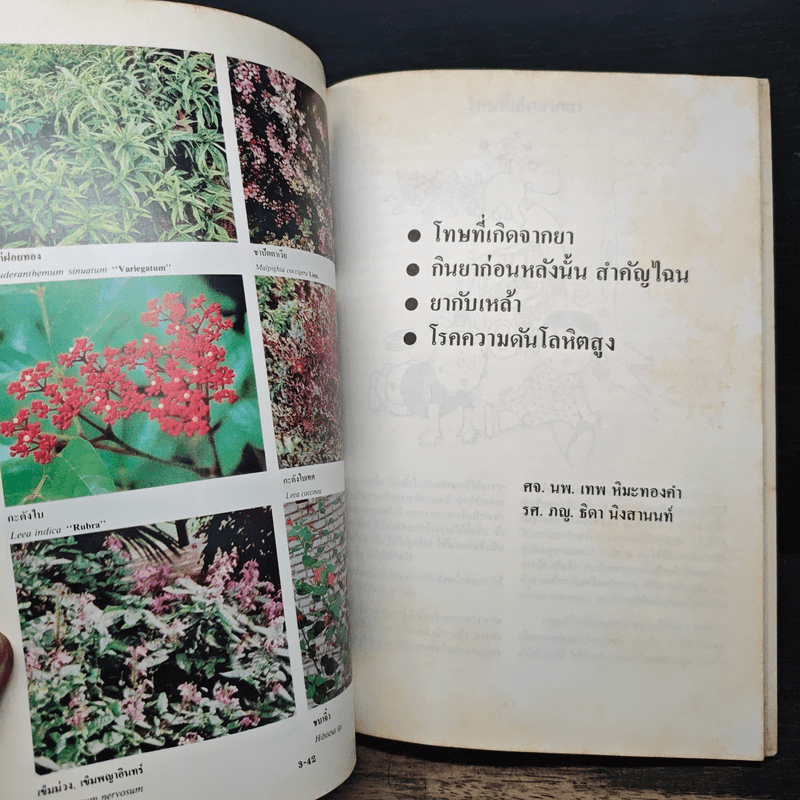 อนุสรณ์ในงานพระราชพิธีพระราชทานเพลิงศพ คุณชัยรัตน์ ภิญญาวัธน์