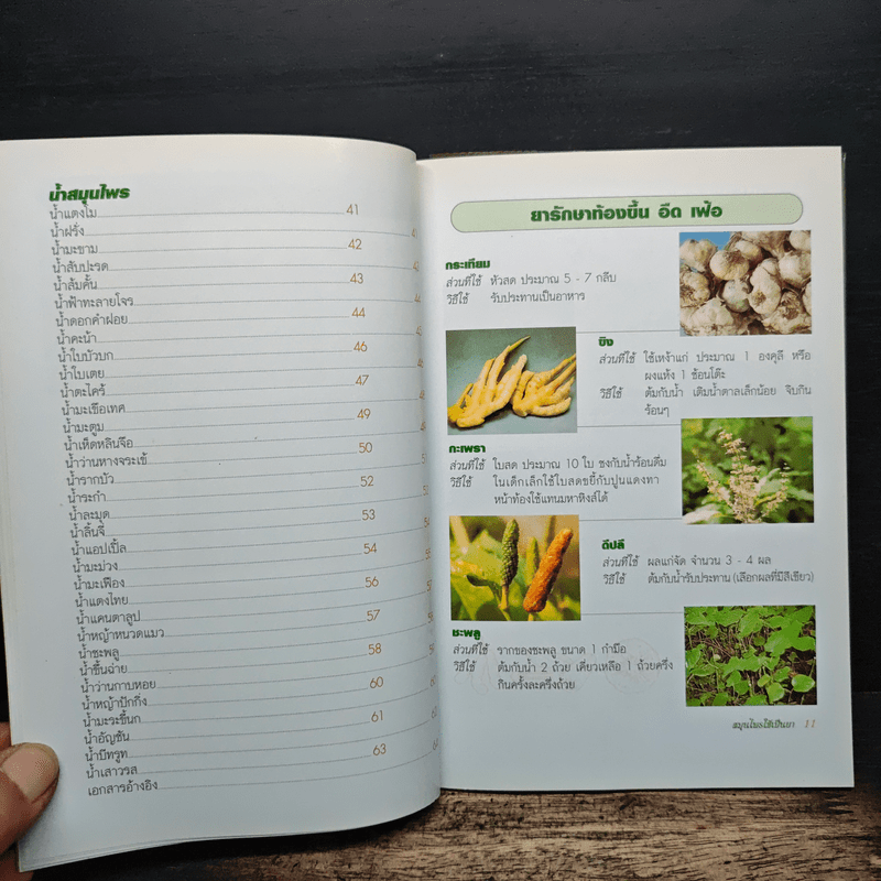 สมุนไพรใช้เป็นยา คู่มือสำหรับประชาชน