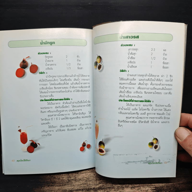 สมุนไพรใช้เป็นยา คู่มือสำหรับประชาชน