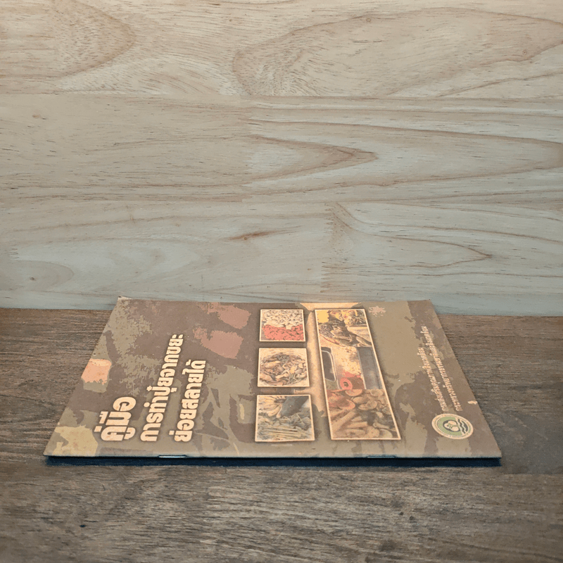 คู่มือเกี่ยวกับการทำปุ๋ยจากขยะที่ย่อยสลายได้