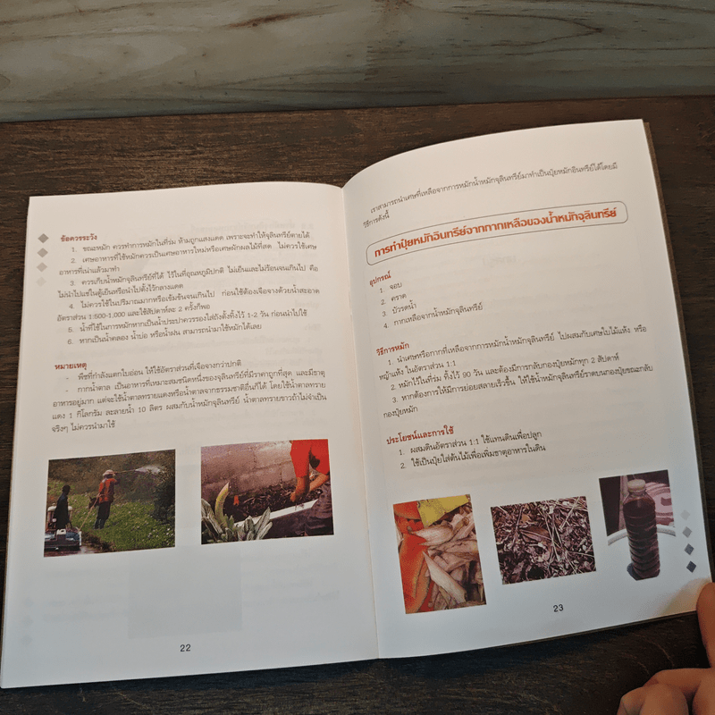 คู่มือเกี่ยวกับการทำปุ๋ยจากขยะที่ย่อยสลายได้