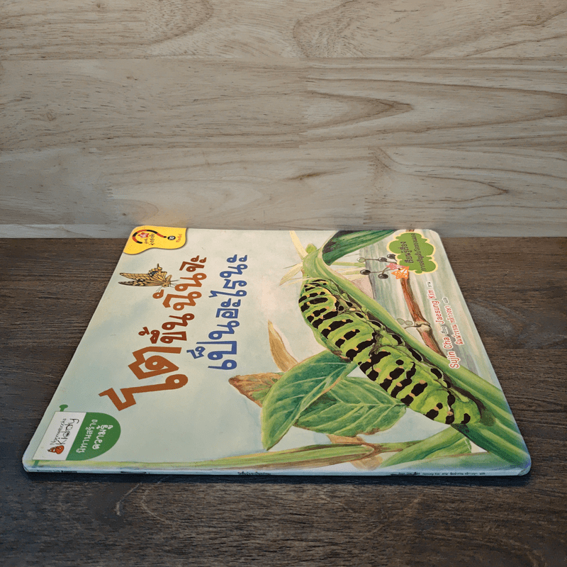 โตขึ้นฉันจะเป็นอะไรดีนะ