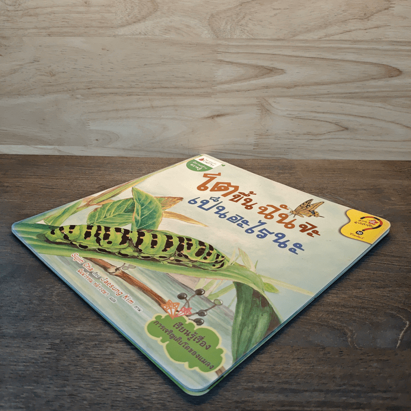 โตขึ้นฉันจะเป็นอะไรดีนะ