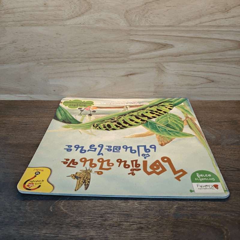 โตขึ้นฉันจะเป็นอะไรดีนะ