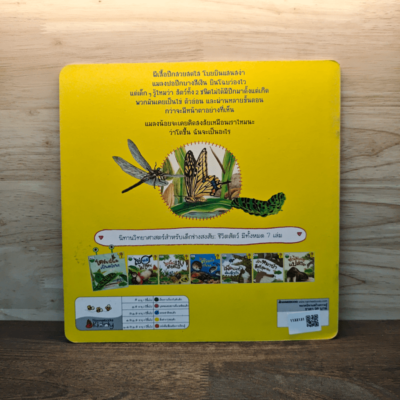 โตขึ้นฉันจะเป็นอะไรดีนะ