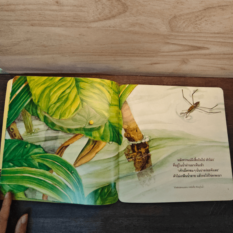 โตขึ้นฉันจะเป็นอะไรดีนะ