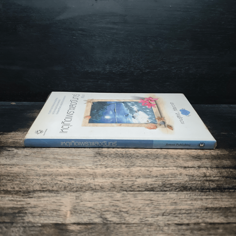 เหตุเกิดเพราะแสงจันทร์ (ความรู้สึกดีที่เรียกว่ารัก ชุดพิเศษ) - สิรินดา