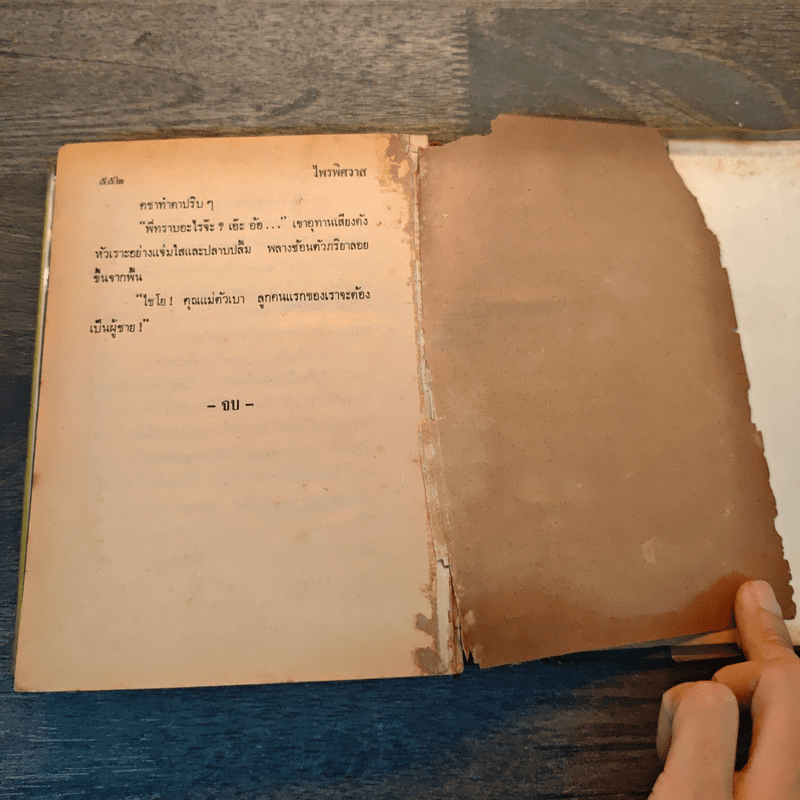 ไพรพิศวาส - ชูวงศ์ ฉายะจินดา