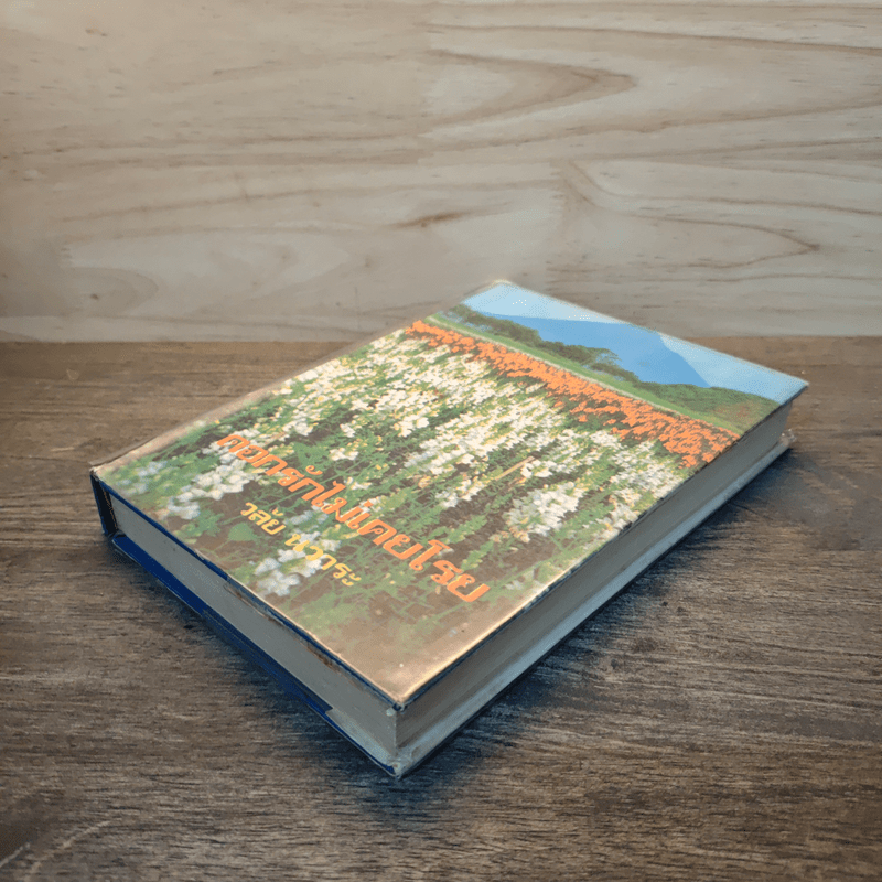 ดอกรักไม่เคยโรย - วลัย นวาระ