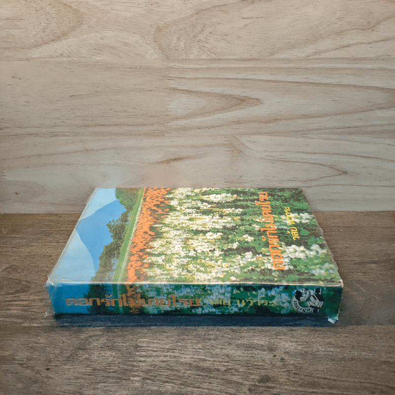 ดอกรักไม่เคยโรย - วลัย นวาระ