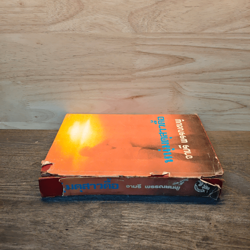 หนุ่มดุสาวดื้อ - จามรี พรรณชมพู