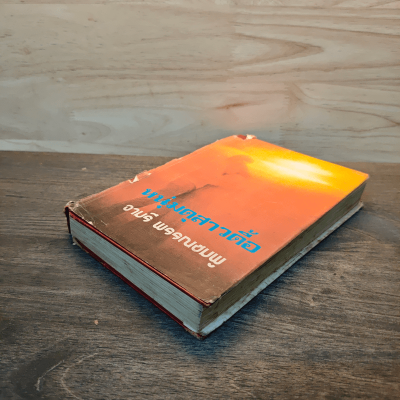 หนุ่มดุสาวดื้อ - จามรี พรรณชมพู