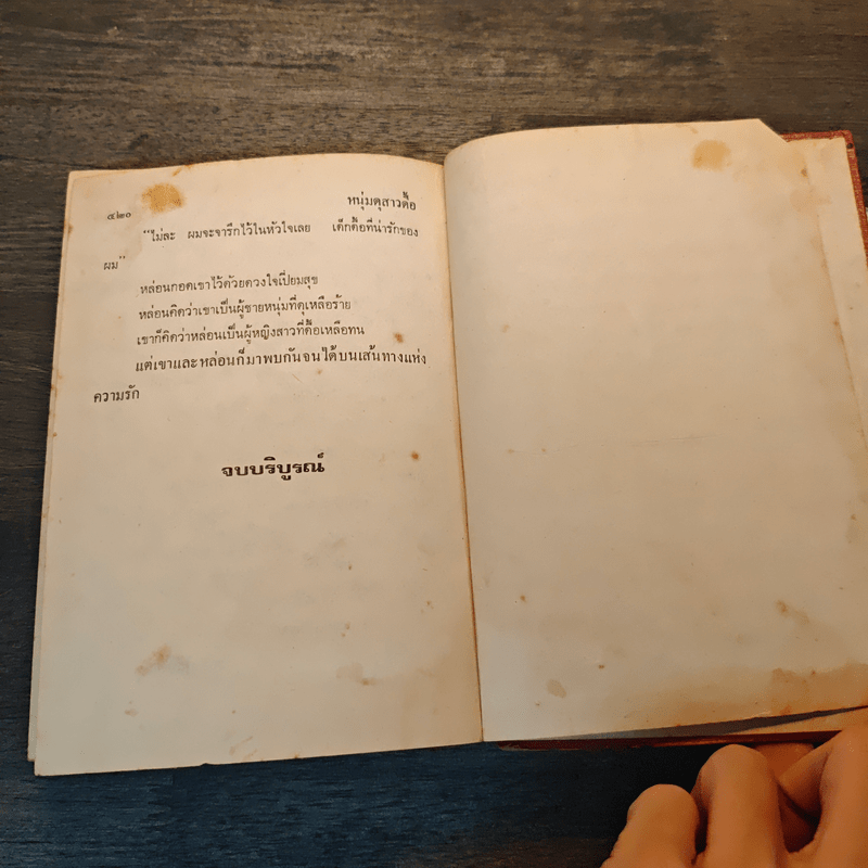 หนุ่มดุสาวดื้อ - จามรี พรรณชมพู