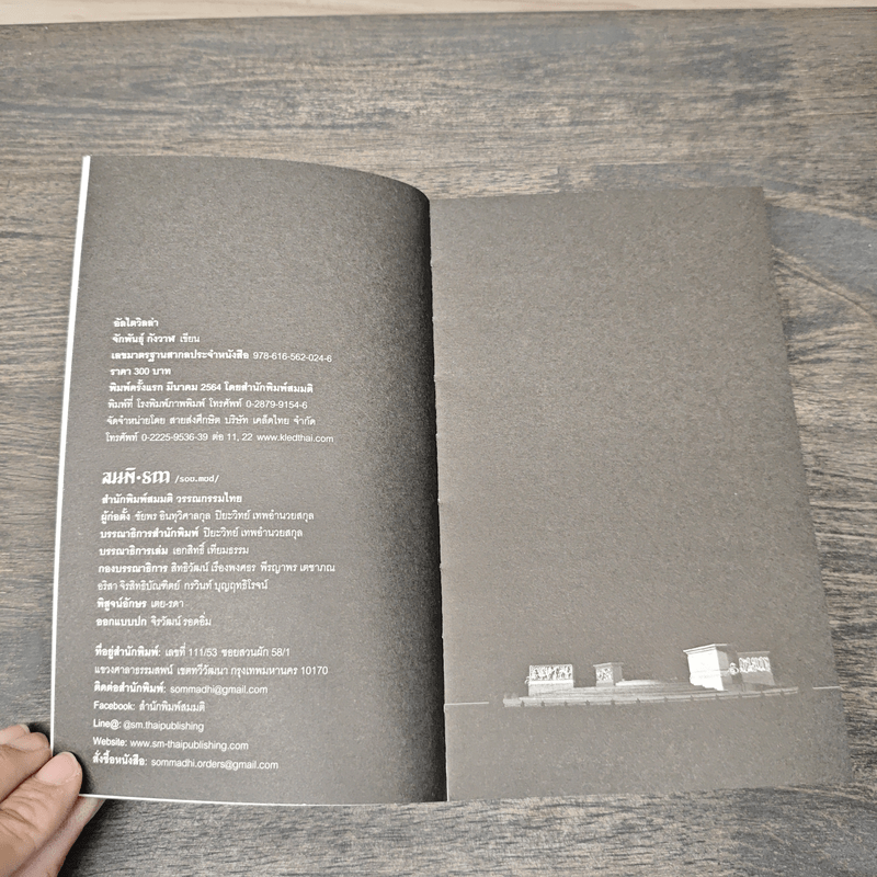 อัลไตวิลล่า เรื่องราวขำขื่นในนครขื่นขม - จักพันธุ์ กังวาฬ