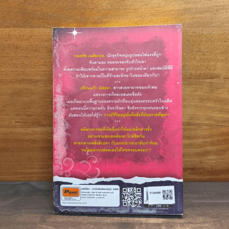 ภารกิจร้ายหัวใจซ่อนรัก - ชิชตะวัน