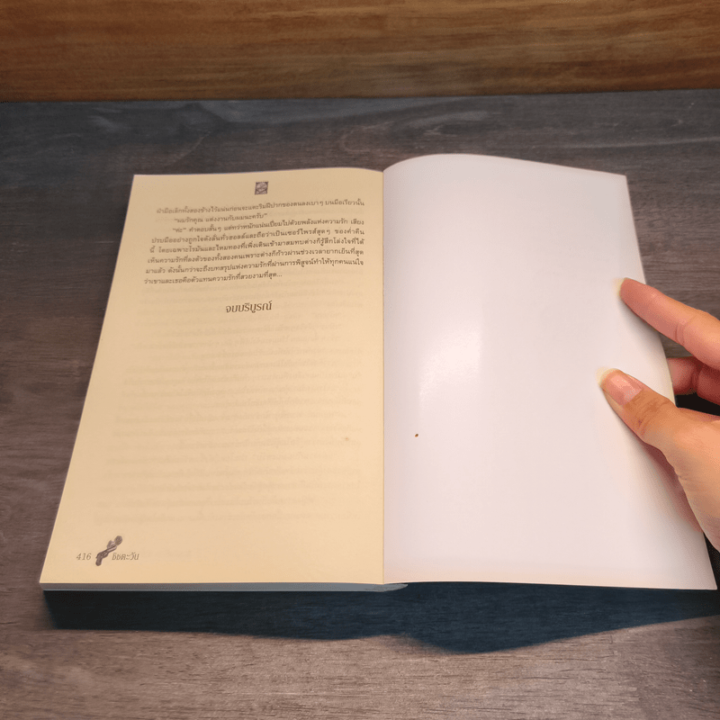 ภารกิจร้ายหัวใจซ่อนรัก - ชิชตะวัน