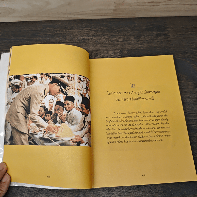 ในหลวงของฉัน