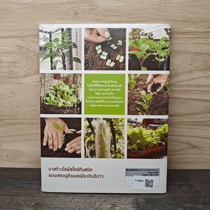 สวนผักในบ้าน กินฟรีทั้งปี